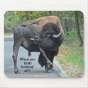 Funny What Are You Looking At? Bull Bison Mouse Pad