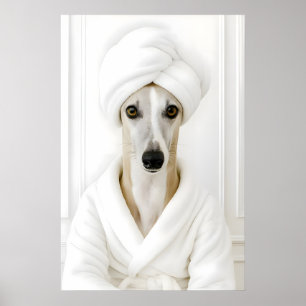 Funny Whippet Bathroom Print, Whippet In Bathrobe Poster
