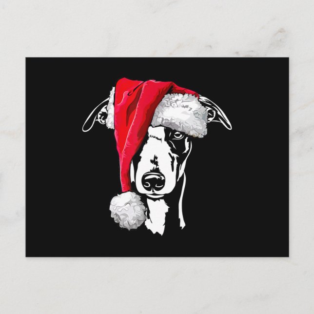 funny whippet santa christmas dog mum gift present announcement postcard (Front)