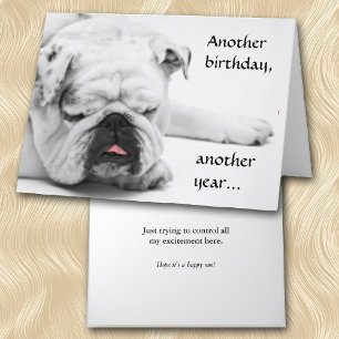 Funny White Bulldog Birthday Card