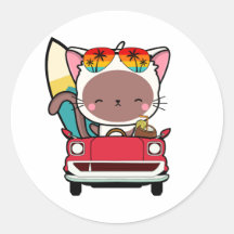 Funny white cat is driving to the beach