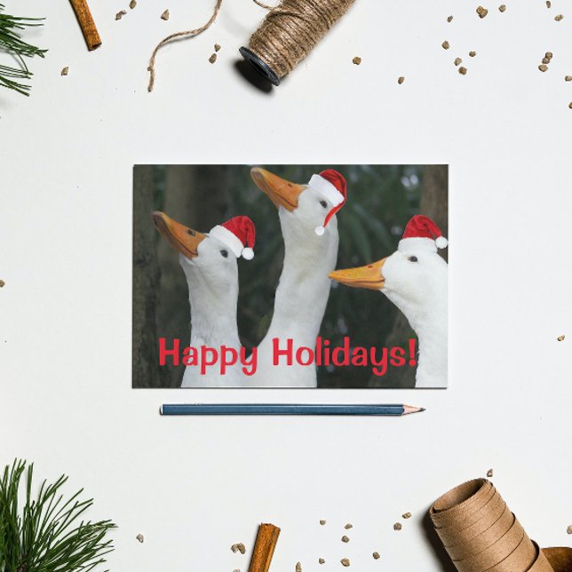 Funny White Ducks Wearing Red Santa Caps Holiday Postcard (In Situ)