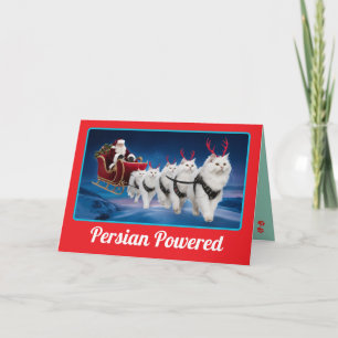 Funny White Persian Cat Christmas Holiday Card