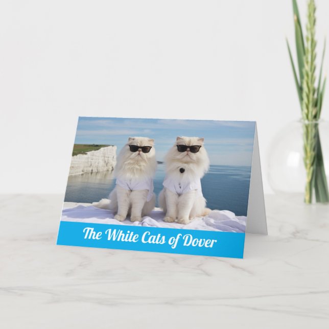 Funny White Persians of Dover Card (Front)