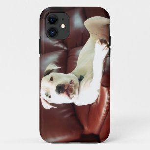 funny white pit bull dog on the couch iPhone 11 case