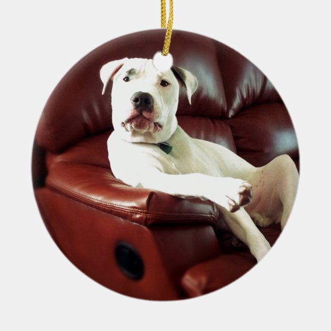 funny white pit bull dog on the couch ceramic ornament (Front)