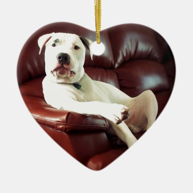 funny white pit bull dog on the couch ceramic ornament (Front)