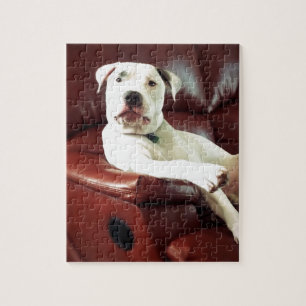 funny white pit bull dog on the couch jigsaw puzzle