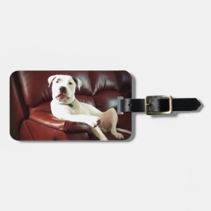 funny white pit bull dog on the couch luggage tag