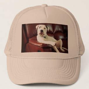 funny white pit bull dog on the couch trucker hat
