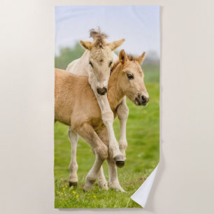 Funny Wild Konik Horses Foals Playing Together - Beach Towel
