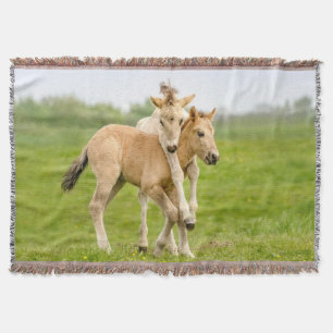Funny Wild Konik Horses Foals Playing Together - Throw Blanket