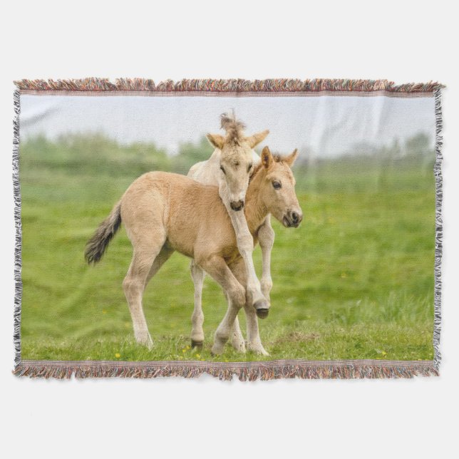 Funny Wild Konik Horses Foals Playing Together - Throw Blanket (Front)