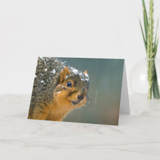 Funny Wildlife Christmas Card