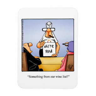 Funny Wine Humour Magnet Gift