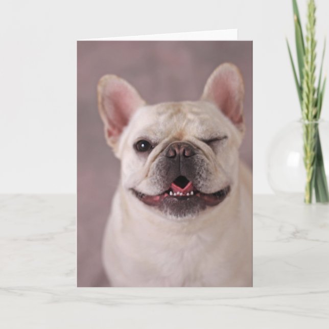 Funny winking Dog French Bulldog Card (Front)