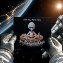 Funny Wish You Were Here