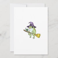 Funny Wizard Frog Rides A Broomstick Illustration