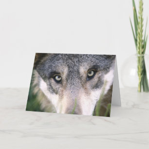 Funny Wolf Up Close Birthday Card
