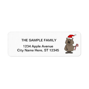 Funny Wombat in Santa Hat Christmas Return Address Label