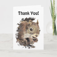 Funny, Would Have Gone Nuts! Thank You Squirrel