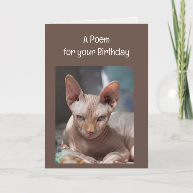Funny Wrinkles Old Age Over the Hill Cat Animal  Card (Front)