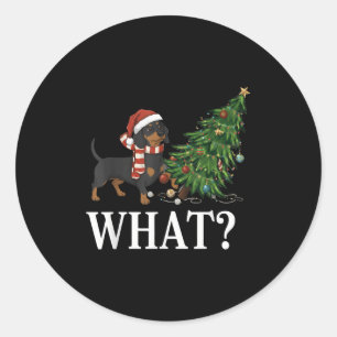 Funny Xmas Dachshundpushing Christmas Tree Over Do Classic Round Sticker