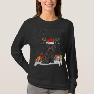 Funny Xmas Lighting Reindeer Santa Hat Schnauzer C T-Shirt