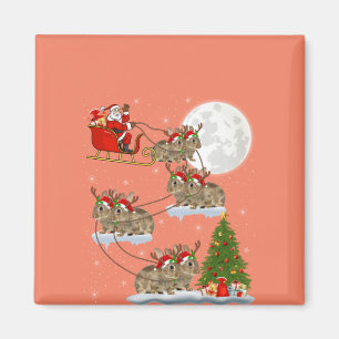 Funny Xmas Lighting Tree Santa Riding Bunny Xmas Magnet