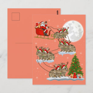 Funny Xmas Lighting Tree Santa Riding Bunny Xmas Postcard