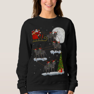Funny Xmas Lighting Tree Santa Riding Cane Corso C Sweatshirt