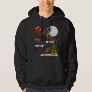 Funny Xmas Lighting Tree Santa Riding Doberman Dog Hoodie