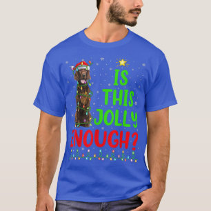 Funny Xmas Tree Is This Jolly Enough Irish Setter T-Shirt