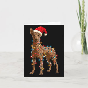Funny Xoloitzcuintli Christmas Graphic Dog Lights Card