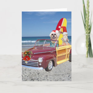 Funny Yellow Lab & Cat Surfer Christmas Holiday Card
