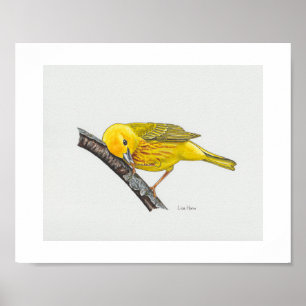 Funny Yellow Warbler Art Print