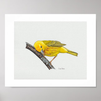 Funny Yellow Warbler Art Print