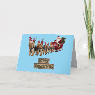 Funny Yorkie Christmas Holiday Card