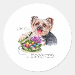 Funny Yorkie Easter Quote, Colourful Eggs, Yorkshi Classic Round Sticker