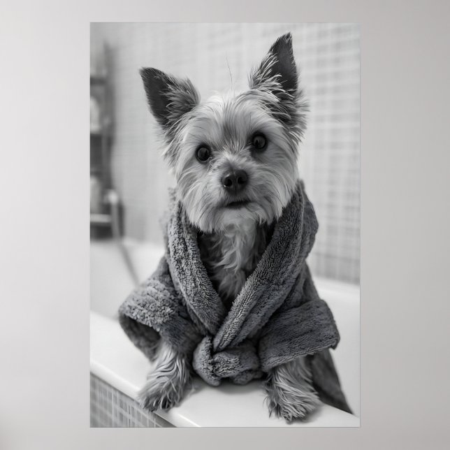 Funny Yorkshire Terrier Bathrobe Print, Bathroom Poster (Front)