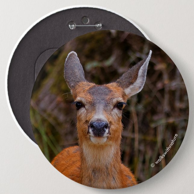 Funny Young Blacktail Deer Smiles at Photographer 6 Cm Round Badge (Front & Back)