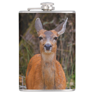 Funny Young Blacktail Deer Smiles at Photographer Hip Flask