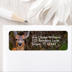 Funny Young Blacktail Deer Smiles at Photographer Return Address Label
