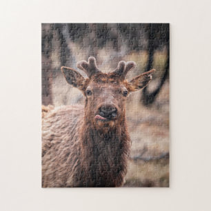 Funny Young Bull Elk Wild Animal Jigsaw Puzzle