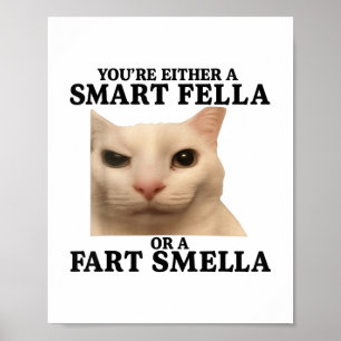Funny Youre Either A Smart Fella Or A Fart Smella Poster