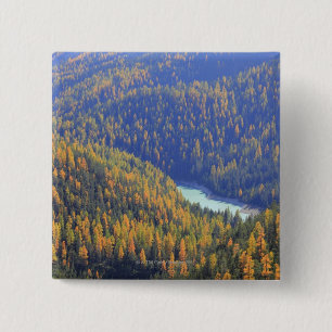 Fuorn Pass 15 Cm Square Badge