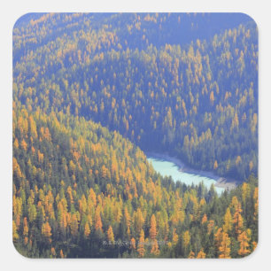 Fuorn Pass Square Sticker