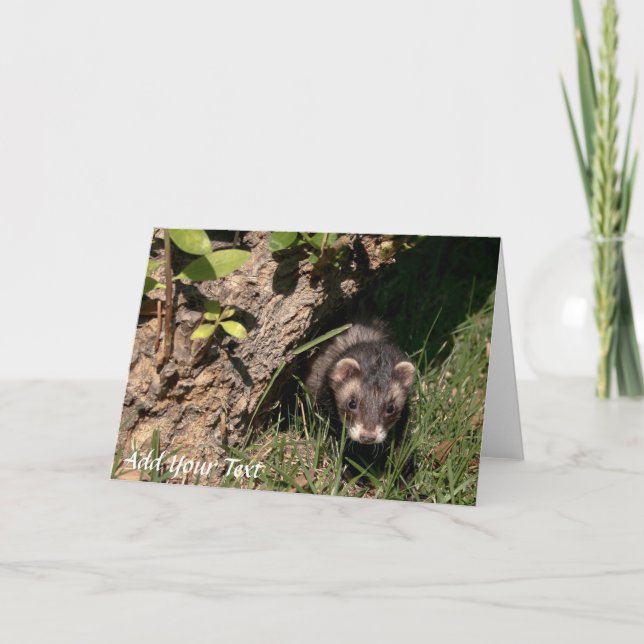 Fur Babies. Sable Ferrets Holiday Card (Front)