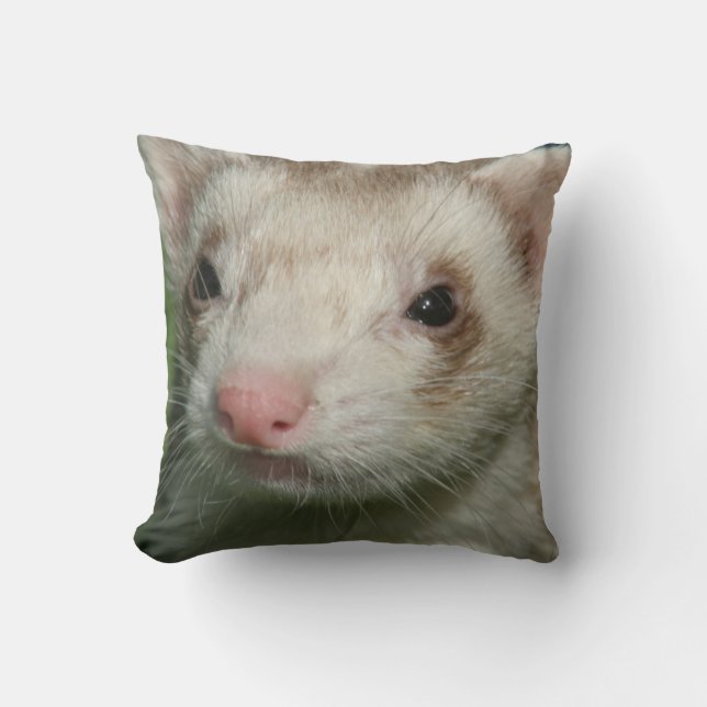 Fur Baby Cute Face of a Ferret Cushion (Front)