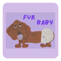 Fur Baby Dachshund Puppy